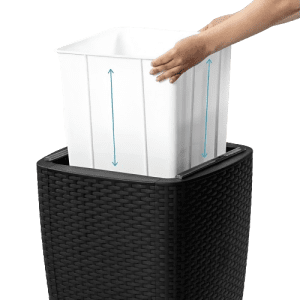 COOLER DE MESA MQ CAPRI / WENGUE - Imagen 5